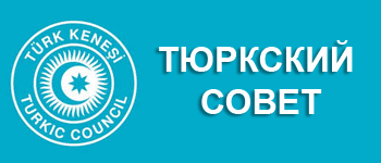 Организация тюркских государств